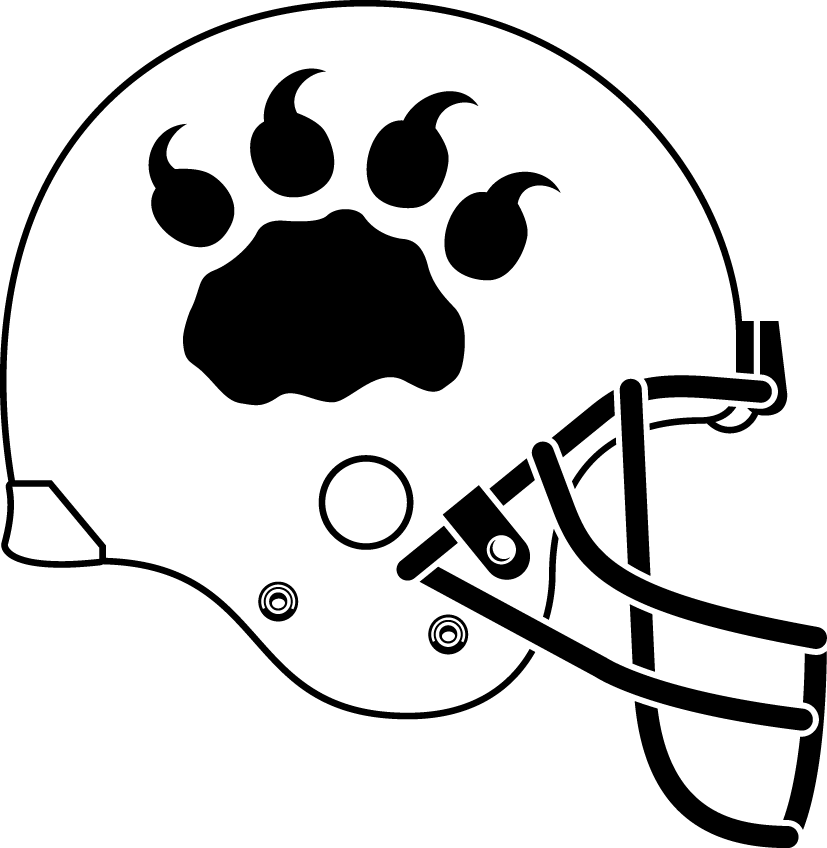 bc lions 2005 helmet logo t shirt iron on transfers